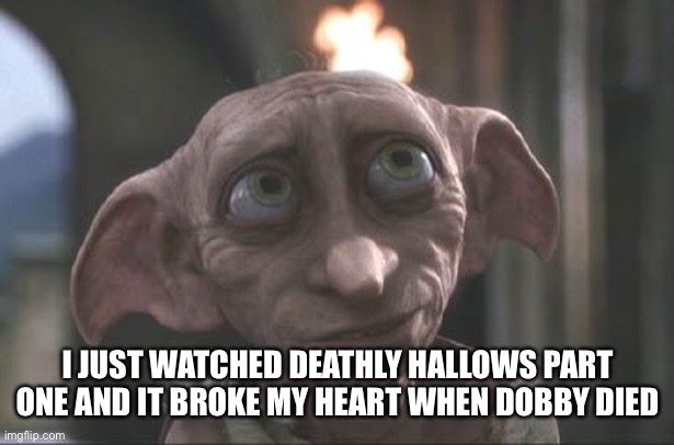 ? | I JUST WATCHED DEATHLY HALLOWS PART ONE AND IT BROKE MY HEART WHEN DOBBY DIED | image tagged in dobby | made w/ Imgflip meme maker