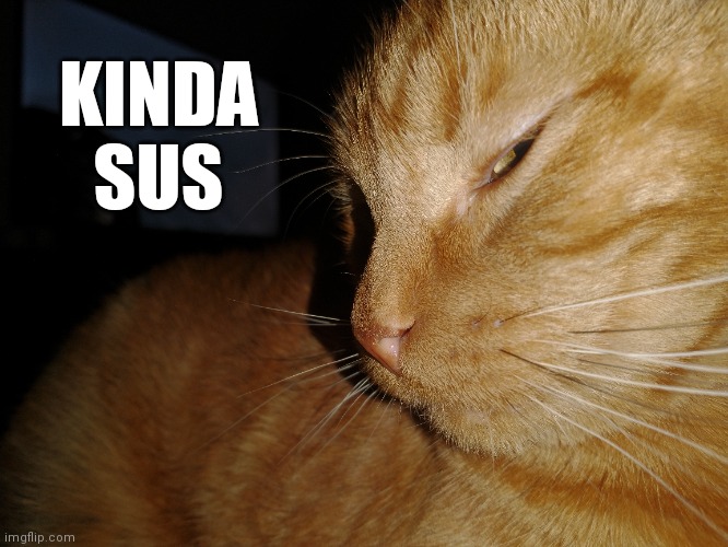 Walter is suspicious | KINDA
SUS | image tagged in sus | made w/ Imgflip meme maker