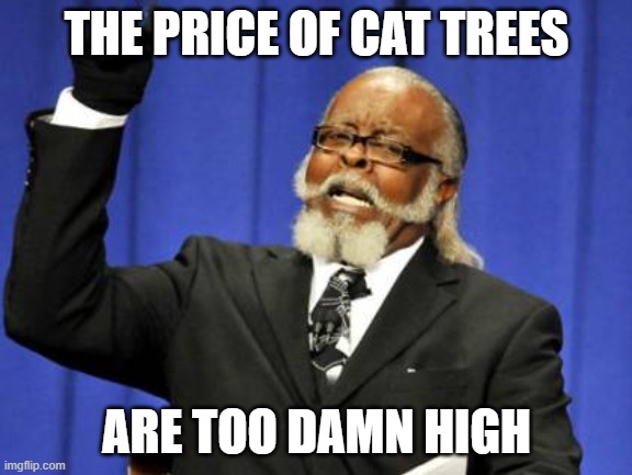 Cat Trees Are Too Damn High | THE PRICE OF CAT TREES; ARE TOO DAMN HIGH | image tagged in memes,too damn high,cat trees,cat | made w/ Imgflip meme maker