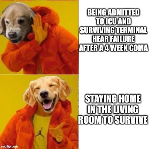 Living in the living room | BEING ADMITTED TO ICU AND SURVIVING TERMINAL HEAR FAILURE AFTER A 4 WEEK COMA; STAYING HOME IN THE LIVING ROOM TO SURVIVE | image tagged in dog drake hotline bling,drake hotline bling,living room,survive,current objective survive,staying alive | made w/ Imgflip meme maker