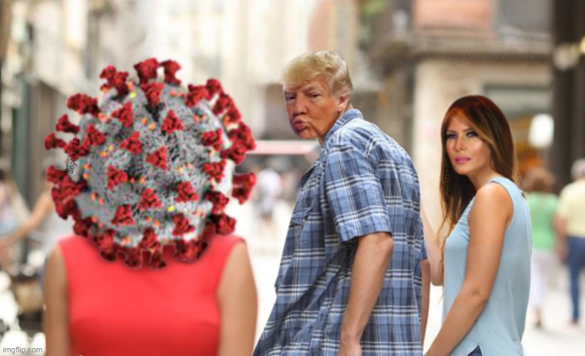 image tagged in melania trump,covidiots,donald trump,clown car republicans,covid-19,distracted boyfriend | made w/ Imgflip meme maker