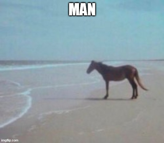 Horse on Beach Man | MAN | image tagged in horse on beach man | made w/ Imgflip meme maker