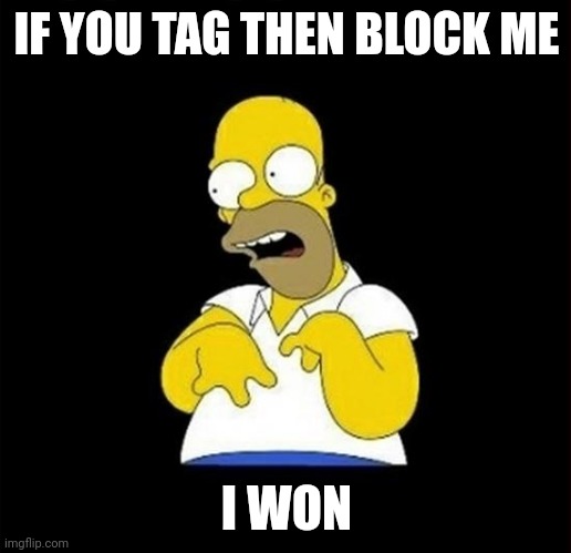 homer | IF YOU TAG THEN BLOCK ME; I WON | image tagged in homer | made w/ Imgflip meme maker