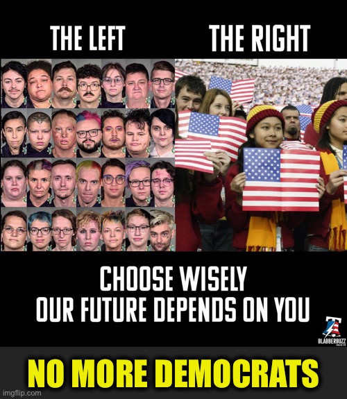 Democrats are destroying this country. It’s no joke. | NO MORE DEMOCRATS | image tagged in liberal vs conservative,liberals,democratic party,conservatives,memes,joe biden | made w/ Imgflip meme maker