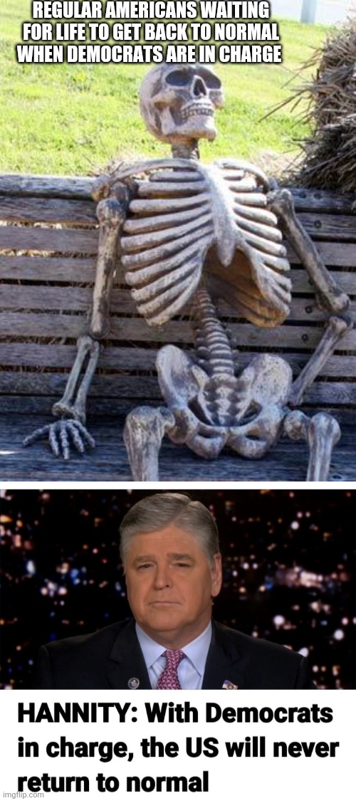 REGULAR AMERICANS WAITING FOR LIFE TO GET BACK TO NORMAL WHEN DEMOCRATS ARE IN CHARGE | image tagged in memes,waiting skeleton | made w/ Imgflip meme maker