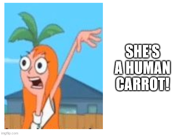 Candice is a human carrot (Phineas and Ferb) | SHE'S A HUMAN CARROT! | image tagged in carrot,phineas and ferb,human | made w/ Imgflip meme maker