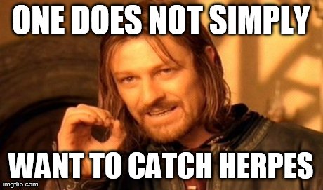 One Does Not Simply Meme | ONE DOES NOT SIMPLY WANT TO CATCH HERPES | image tagged in memes,one does not simply | made w/ Imgflip meme maker