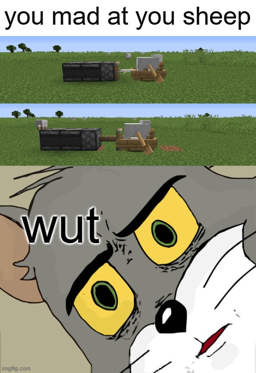 minecraft hate you sheep | you mad at you sheep; wut | image tagged in memes,unsettled tom,gaming | made w/ Imgflip meme maker