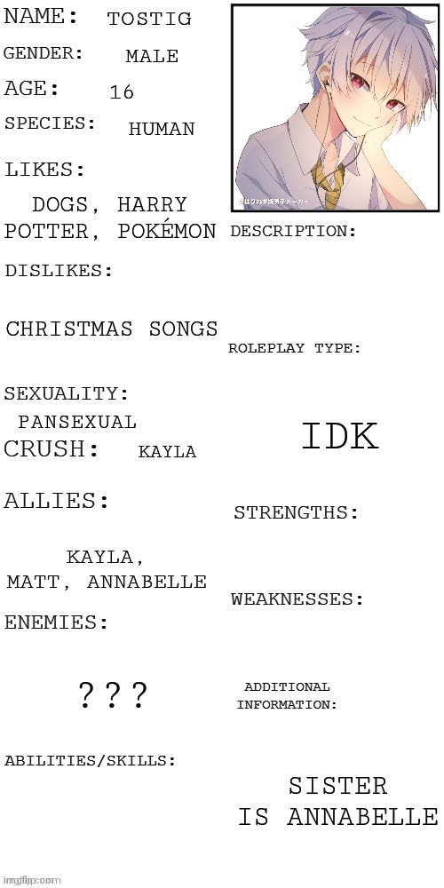 Tostig | TOSTIG; MALE; 16; HUMAN; DOGS, HARRY POTTER, POKÉMON; CHRISTMAS SONGS; IDK; PANSEXUAL; KAYLA; KAYLA, MATT, ANNABELLE; ??? SISTER IS ANNABELLE | image tagged in updated roleplay oc showcase | made w/ Imgflip meme maker