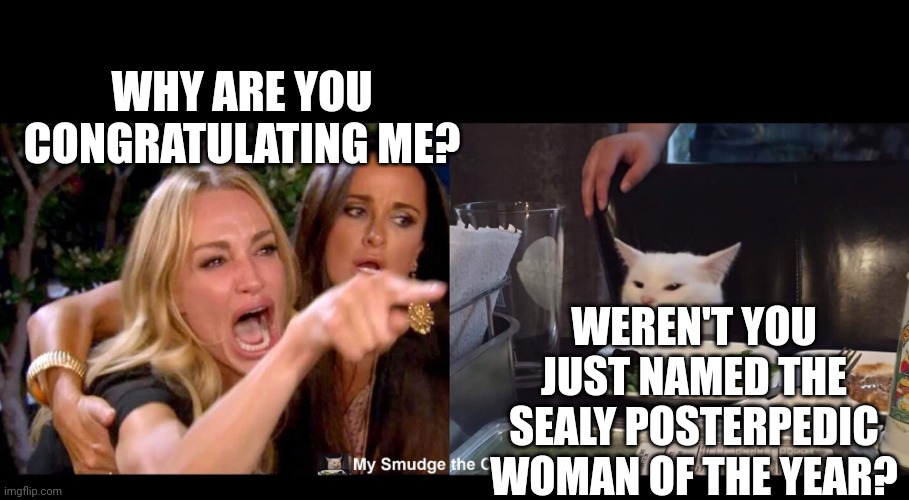 WHY ARE YOU CONGRATULATING ME? WEREN'T YOU JUST NAMED THE SEALY POSTERPEDIC WOMAN OF THE YEAR? | image tagged in smudge the cat | made w/ Imgflip meme maker