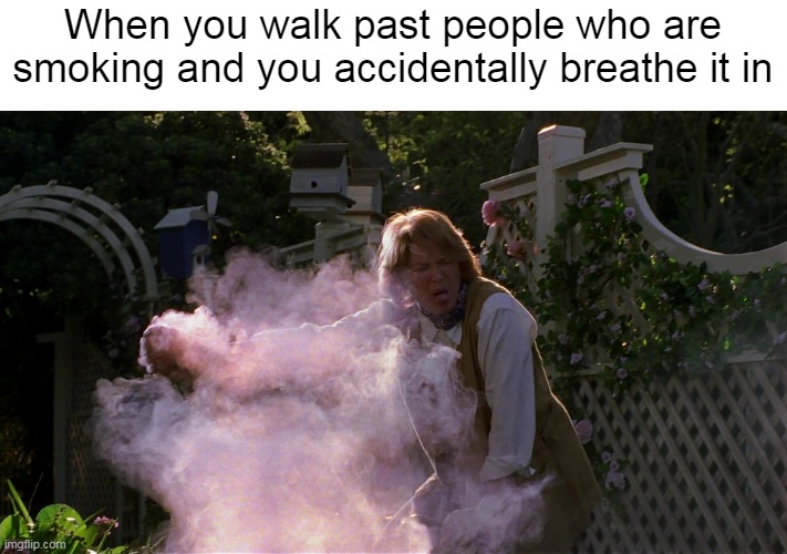 Protect Those Lungs, Lady! |  When you walk past people who are smoking and you accidentally breathe it in | image tagged in meme,memes,smoking,secondhand smoke,breathe | made w/ Imgflip meme maker