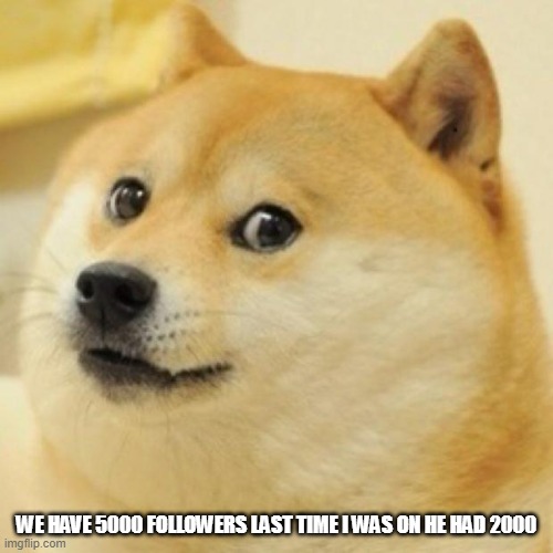 wow doge | WE HAVE 5000 FOLLOWERS LAST TIME I WAS ON HE HAD 2000 | image tagged in wow doge | made w/ Imgflip meme maker