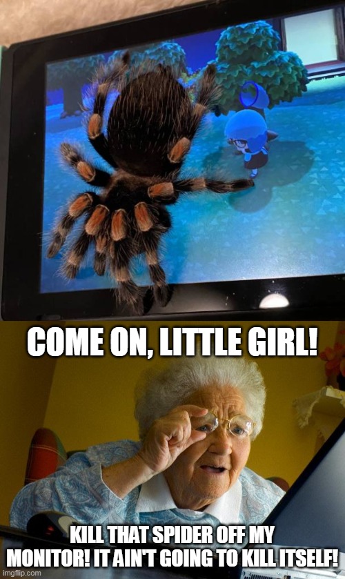 Cyber Pest Control | COME ON, LITTLE GIRL! KILL THAT SPIDER OFF MY MONITOR! IT AIN'T GOING TO KILL ITSELF! | image tagged in memes,grandma finds the internet,meme,spider | made w/ Imgflip meme maker