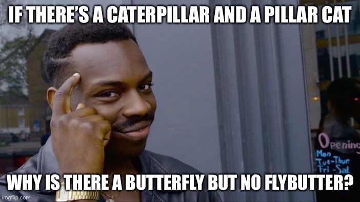 Roll Safe Think About It | IF THERE’S A CATERPILLAR AND A PILLAR CAT; WHY IS THERE A BUTTERFLY BUT NO FLYBUTTER? | image tagged in memes,roll safe think about it | made w/ Imgflip meme maker