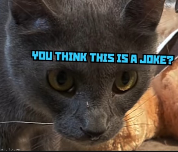 YOU THINK THIS IS A JOKE? | image tagged in you think this is a joke | made w/ Imgflip meme maker