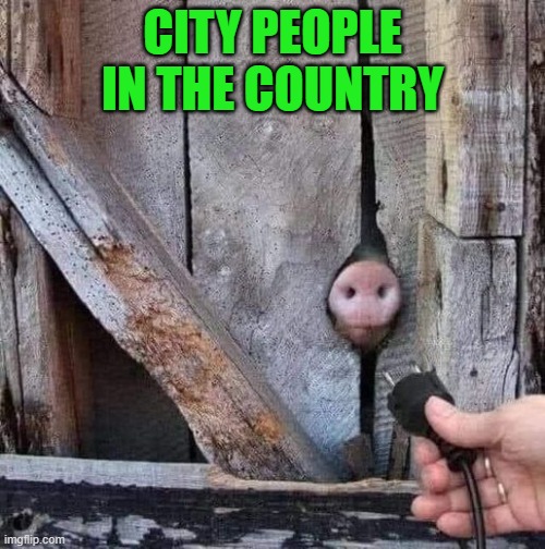 city people | CITY PEOPLE IN THE COUNTRY | image tagged in country,city,people | made w/ Imgflip meme maker