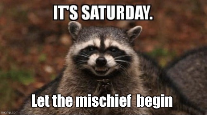 Saturday Mischief | Let the mischief  begin | image tagged in saturday mischief | made w/ Imgflip meme maker