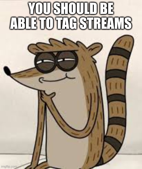 so they are easier to find | YOU SHOULD BE ABLE TO TAG STREAMS | image tagged in rigby | made w/ Imgflip meme maker