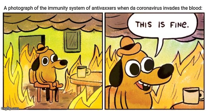 This Is Fine Meme | A photograph of the immunity system of antivaxxers when da coronavirus invades the blood: | image tagged in memes,corona,virus | made w/ Imgflip meme maker