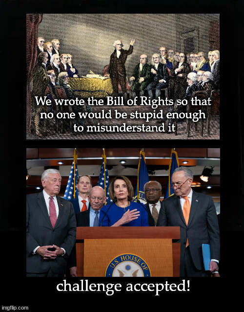 Dems and the Bill of Rights | image tagged in bill of rights | made w/ Imgflip meme maker