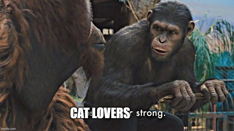 Ape together strong | CAT LOVERS | image tagged in ape together strong | made w/ Imgflip meme maker