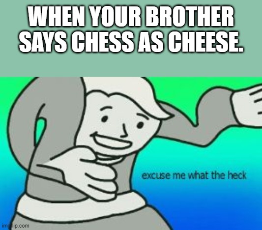 hold up? | WHEN YOUR BROTHER SAYS CHESS AS CHEESE. | image tagged in excuse me what the heck,unfunny,memes,chess,cheese | made w/ Imgflip meme maker