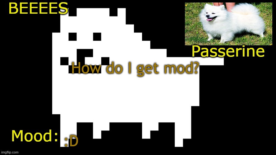 :D | How do I get mod? :D | image tagged in d | made w/ Imgflip meme maker