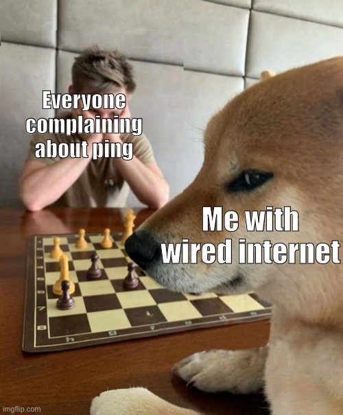 Chess doge | Everyone complaining about ping Me with wired internet | image tagged in chess doge | made w/ Imgflip meme maker