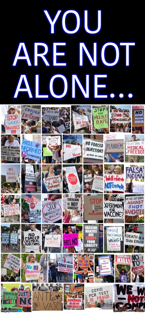 NEVER FORGET… | YOU ARE NOT ALONE… | image tagged in we will not comply,no to vaccine mandates,Conservative | made w/ Imgflip meme maker