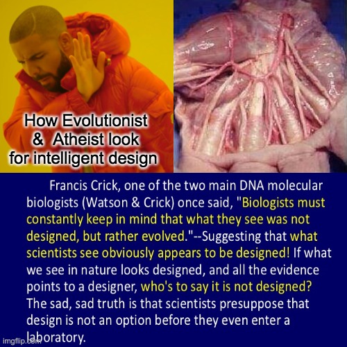 Ignoring Intelligent Design | How Evolutionist &  Atheist look for intelligent design | image tagged in drake hotline bling,athiest,creationism,intelligent,design,human evolution | made w/ Imgflip meme maker