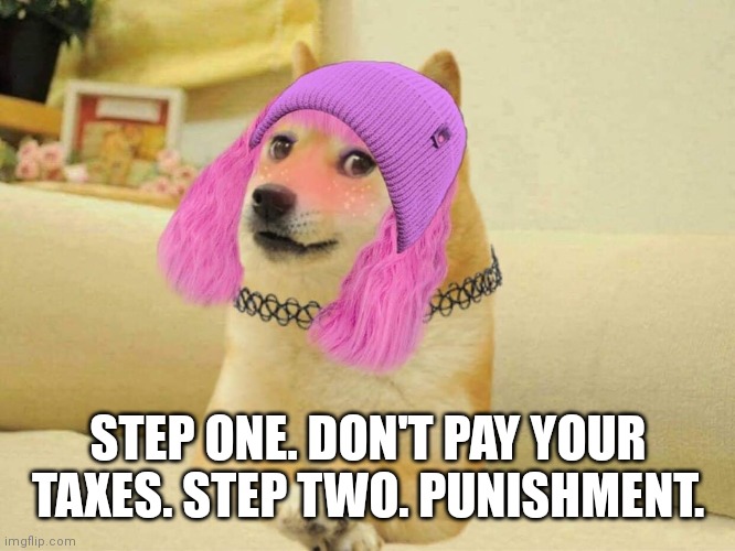 E-girl dogette | STEP ONE. DON'T PAY YOUR TAXES. STEP TWO. PUNISHMENT. | image tagged in e-girl dogette | made w/ Imgflip meme maker