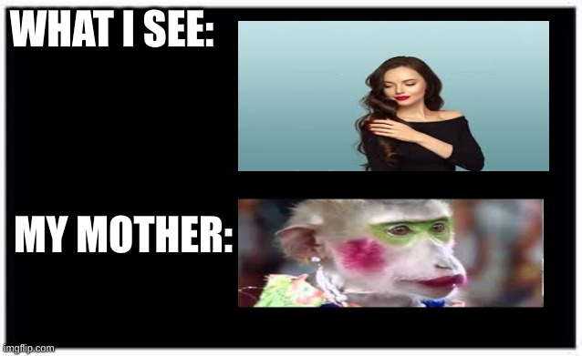 Makeup looks wt parents | WHAT I SEE:; MY MOTHER: | image tagged in mom,makeup,monkey | made w/ Imgflip meme maker