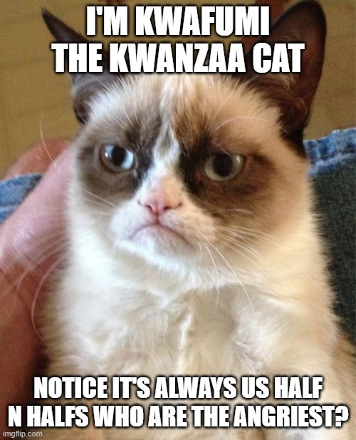 Kwafumi | I'M KWAFUMI THE KWANZAA CAT; NOTICE IT'S ALWAYS US HALF N HALFS WHO ARE THE ANGRIEST? | image tagged in memes,grumpy cat | made w/ Imgflip meme maker