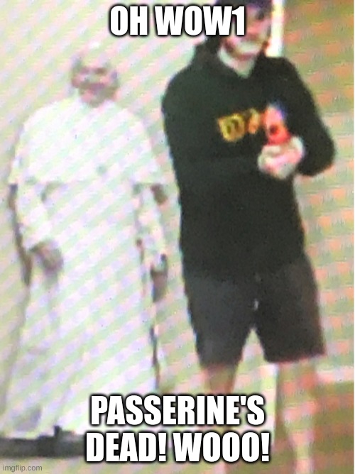 h | OH WOW1; PASSERINE'S DEAD! WOOO! | made w/ Imgflip meme maker