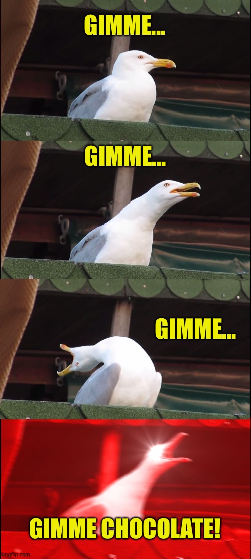 BabyGull |  GIMME... GIMME... GIMME... GIMME CHOCOLATE! | image tagged in memes,inhaling seagull | made w/ Imgflip meme maker