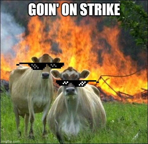Evil Cows Meme | GOIN' ON STRIKE | image tagged in memes,evil cows | made w/ Imgflip meme maker