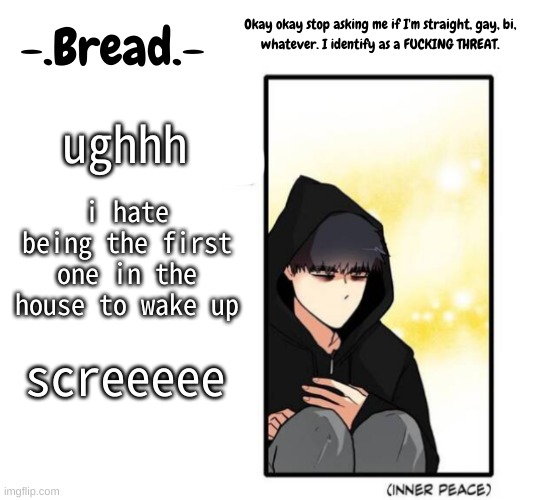.-. | ughhh; i hate being the first one in the house to wake up; screeeee | image tagged in breads inner peace temp | made w/ Imgflip meme maker
