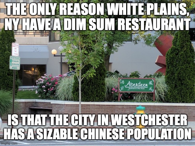Dim Sum Restaurant in White Plains, NY | THE ONLY REASON WHITE PLAINS, NY HAVE A DIM SUM RESTAURANT; IS THAT THE CITY IN WESTCHESTER HAS A SIZABLE CHINESE POPULATION | image tagged in restaurant,memes | made w/ Imgflip meme maker