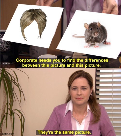 there is  no difference | image tagged in memes,they're the same picture | made w/ Imgflip meme maker