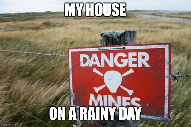 MY HOUSE; ON A RAINY DAY | image tagged in dogs,rain,poop | made w/ Imgflip meme maker