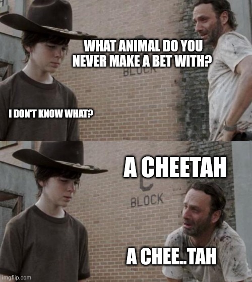 Rick and Carl Meme |  WHAT ANIMAL DO YOU NEVER MAKE A BET WITH? I DON'T KNOW WHAT? A CHEETAH; A CHEE..TAH | image tagged in memes,rick and carl | made w/ Imgflip meme maker