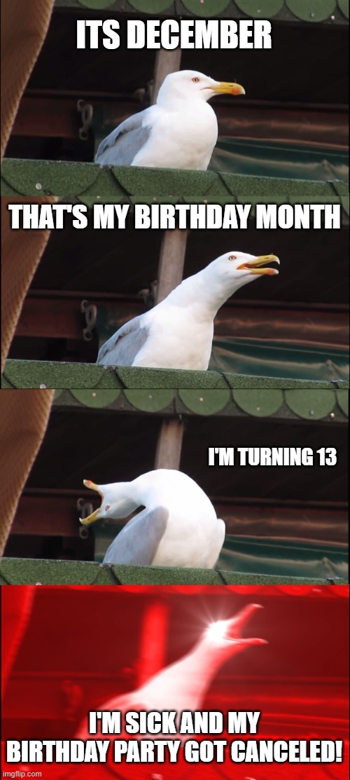 Wah- | ITS DECEMBER; THAT'S MY BIRTHDAY MONTH; I'M TURNING 13; I'M SICK AND MY BIRTHDAY PARTY GOT CANCELED! | image tagged in memes,inhaling seagull,happy birthday | made w/ Imgflip meme maker