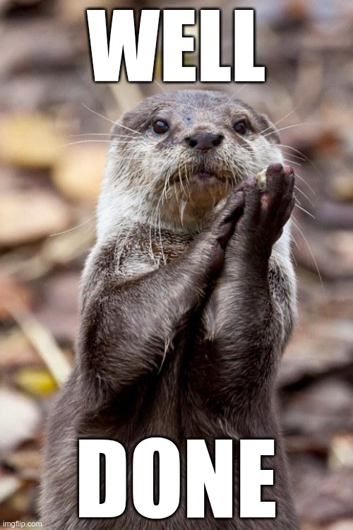 Slow-Clap Otter | WELL DONE | image tagged in slow-clap otter | made w/ Imgflip meme maker