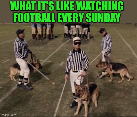 More football less referees | WHAT IT'S LIKE WATCHING FOOTBALL EVERY SUNDAY | image tagged in nfl referee,logical fallacy referee,false flag,nfl football | made w/ Imgflip meme maker
