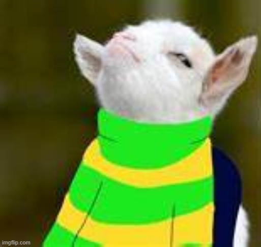 goat boi | image tagged in asriel | made w/ Imgflip meme maker