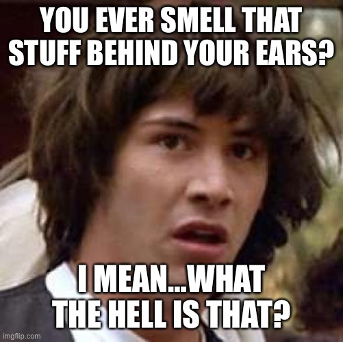 That stuff behind your ears | YOU EVER SMELL THAT STUFF BEHIND YOUR EARS? I MEAN…WHAT THE HELL IS THAT? | image tagged in memes,conspiracy keanu | made w/ Imgflip meme maker