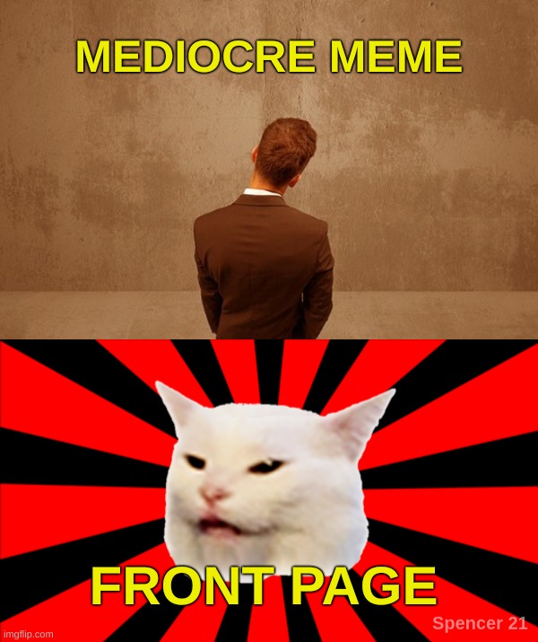 Mediocre Meme/ Front Page | MEDIOCRE MEME; FRONT PAGE | image tagged in mymemesareterrible,smudge the cat,smudge,front page,what do we want,what if i told you | made w/ Imgflip meme maker