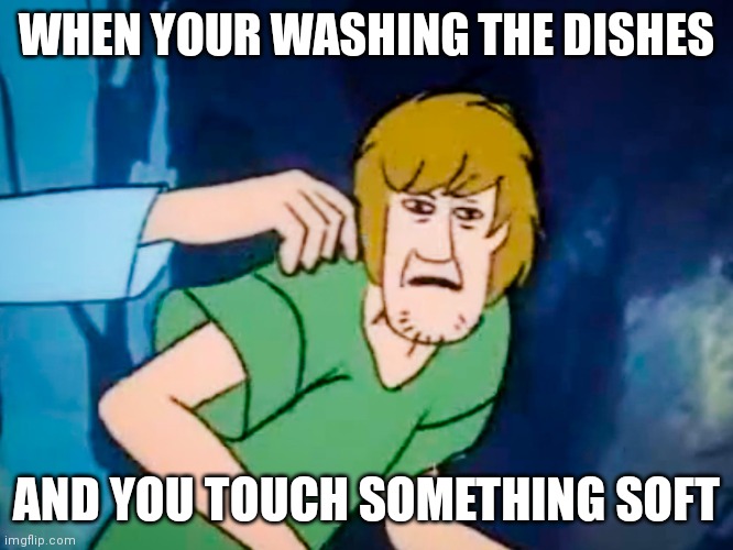 Very true | WHEN YOUR WASHING THE DISHES; AND YOU TOUCH SOMETHING SOFT | image tagged in shaggy meme | made w/ Imgflip meme maker