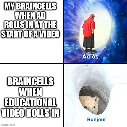 Not to state that interesting videos generate more braincells | MY BRAINCELLS WHEN AD ROLLS IN AT THE START OF A VIDEO; BRAINCELLS WHEN EDUCATIONAL VIDEO ROLLS IN | image tagged in adios bonjour | made w/ Imgflip meme maker