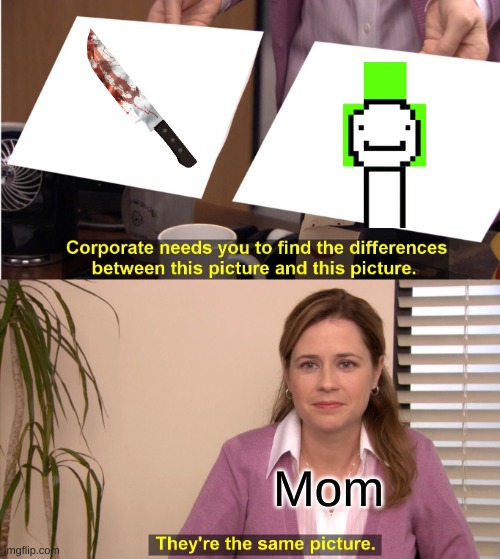 They're The Same Picture Meme | Mom | image tagged in memes,they're the same picture | made w/ Imgflip meme maker